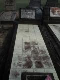 image of grave number 499561